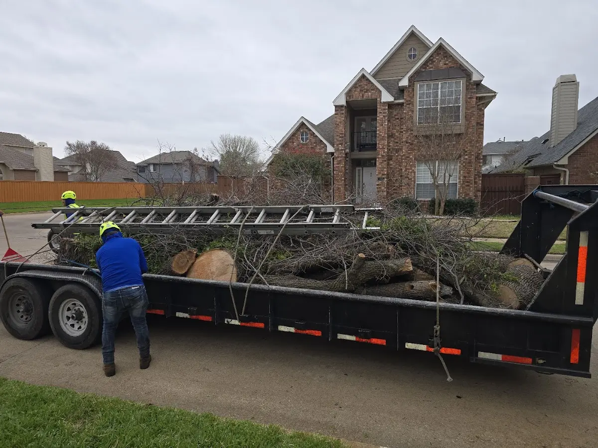 Expert Tree Removal with proper safety equipment in Cedar Knolls